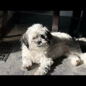 Meet your Posher, Lexi